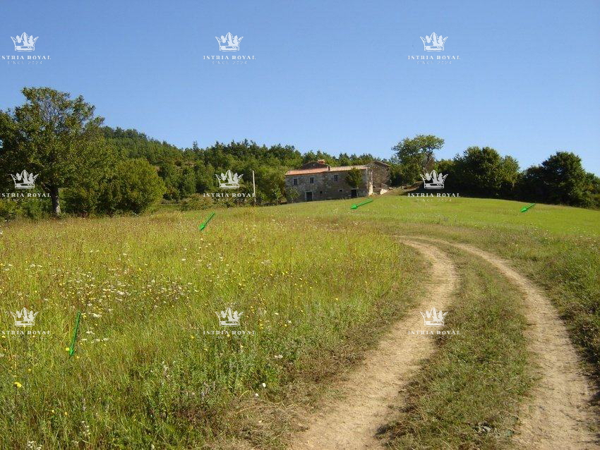 MOTOVUN